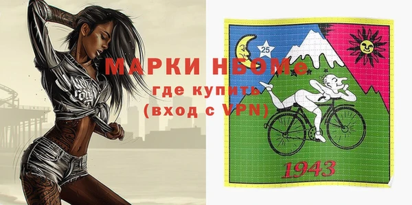 прущая мука Инсар