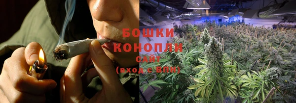 прущая мука Инсар