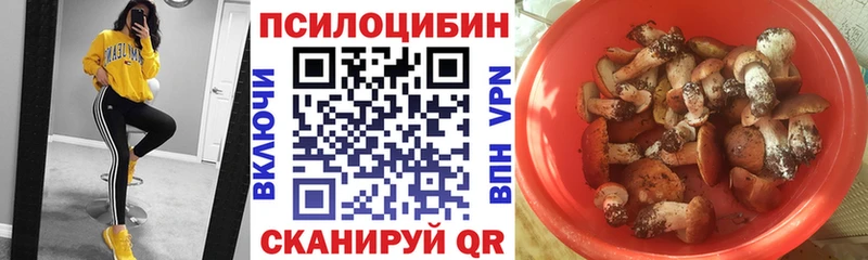 Галлюциногенные грибы Magic Shrooms  Купить закладки  Болохово 